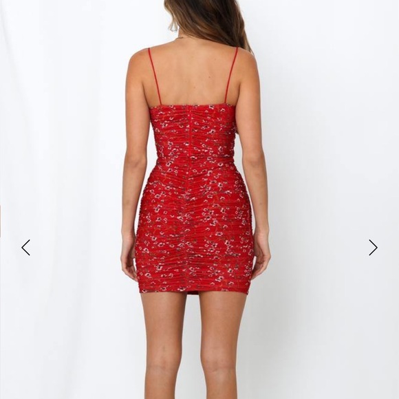 NEVER WORN - Hello Molly Got You Good Ruffled Lined Red Flower Dress - Picture 2 of 6